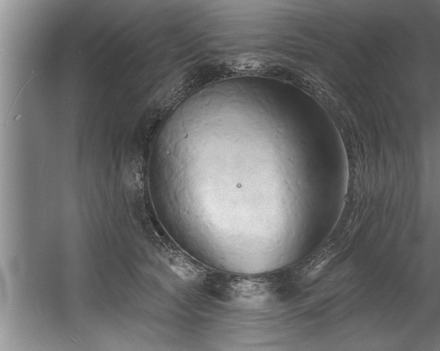 X0000060560561200511070950