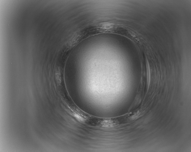 X0000060560562200511070950