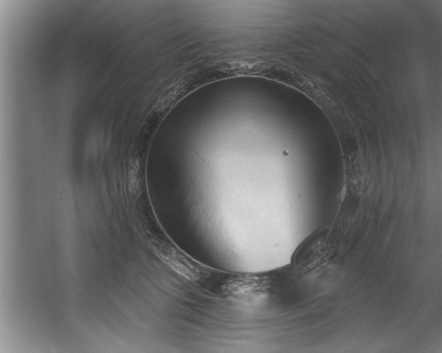 X0000060560563200511070950