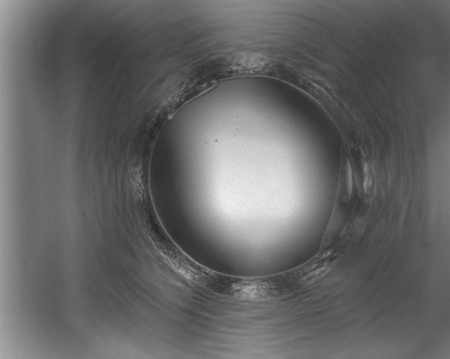 X0000060560564200511070950