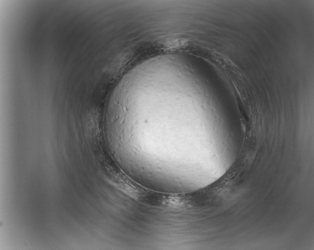 X0000060560565200511070950