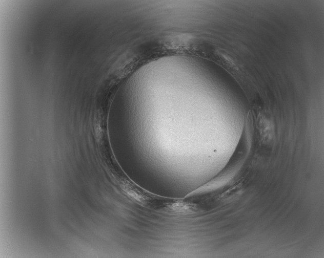 X0000060560566200511070950