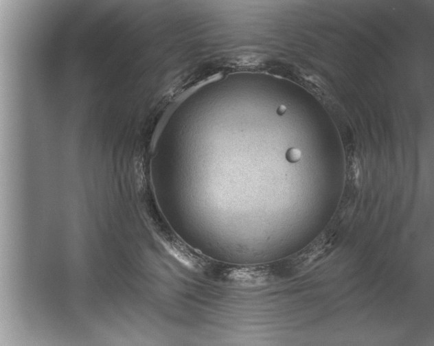 X0000060560568200511070950