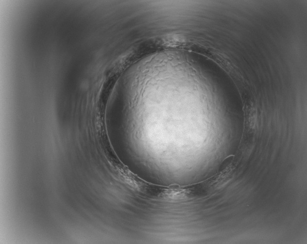 X0000060560569200511070950