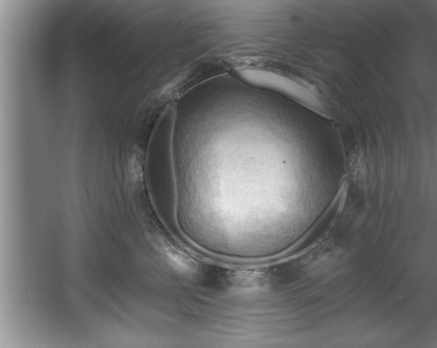 X0000060560570200511070950