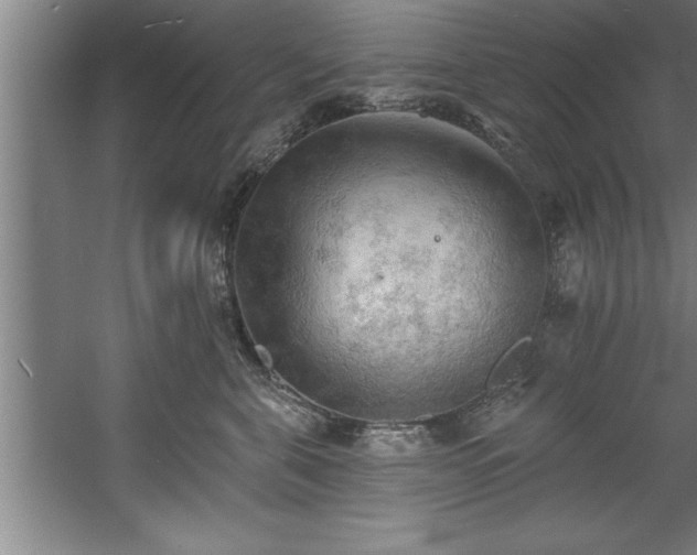 X0000060560571200511070951