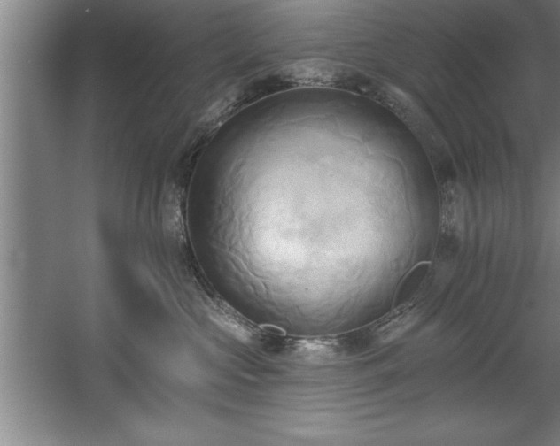 X0000060560573200511070951