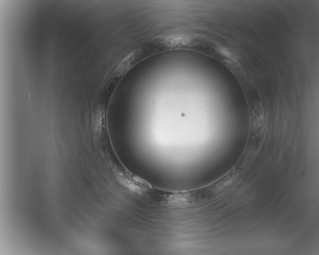 X0000060560574200511070951