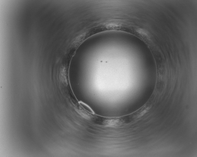 X0000060560575200511070951