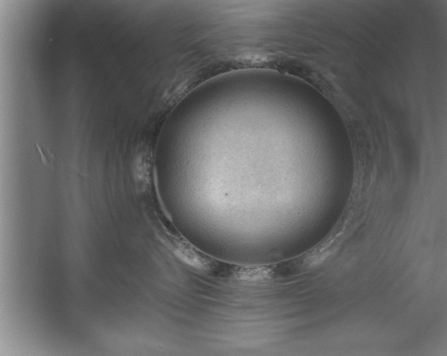 X0000060560576200511070951