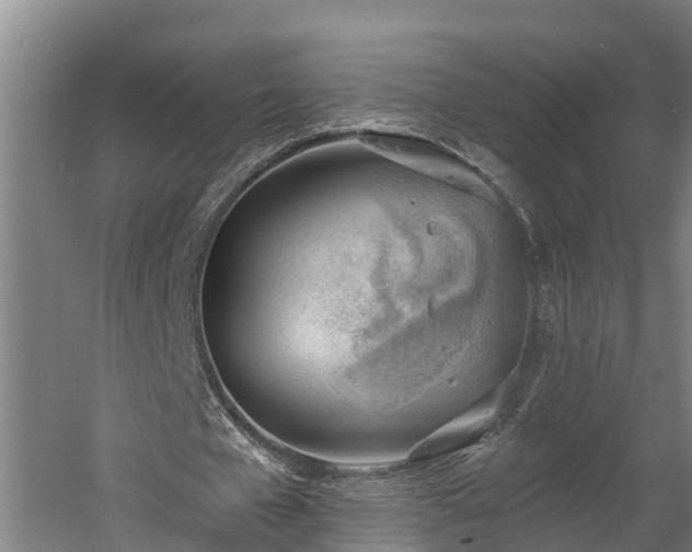 X0000060560577200511070950