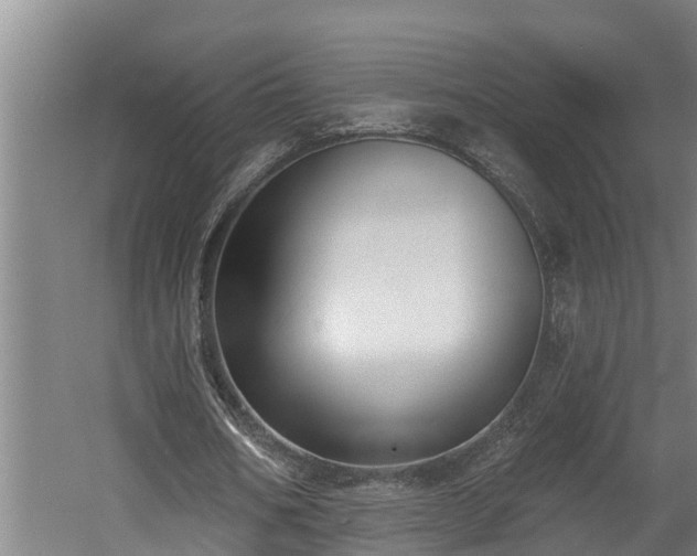 X0000060560578200511070950