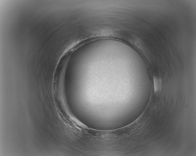 X0000060560579200511070950