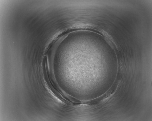 X0000060560581200511070950