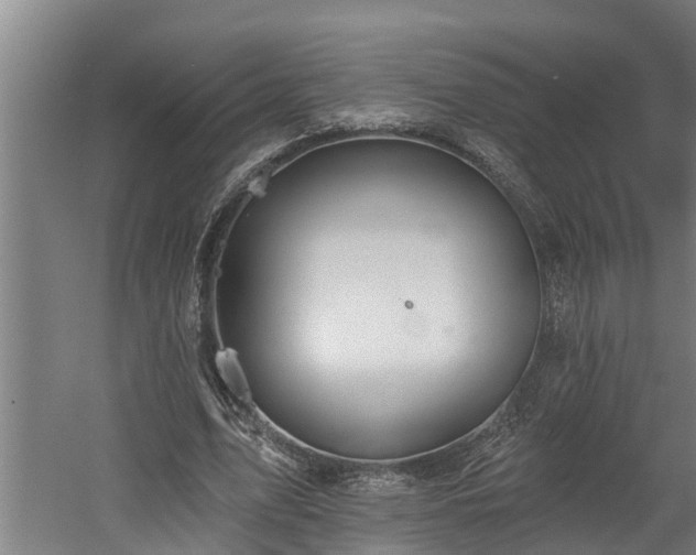 X0000060560583200511070950