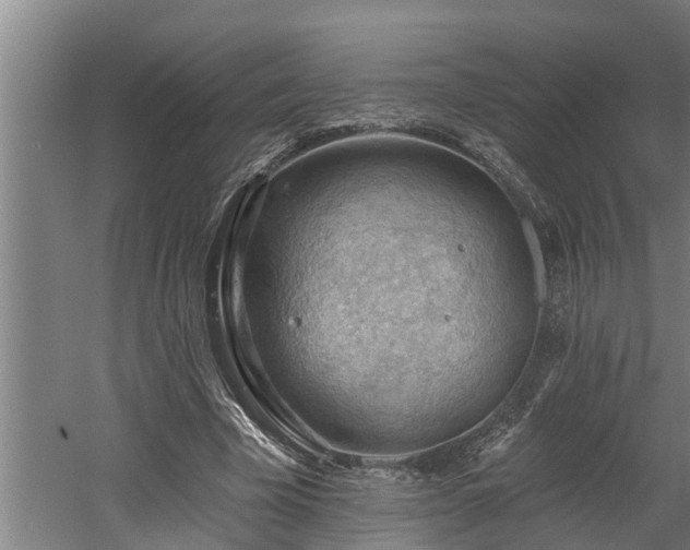 X0000060560585200511070950