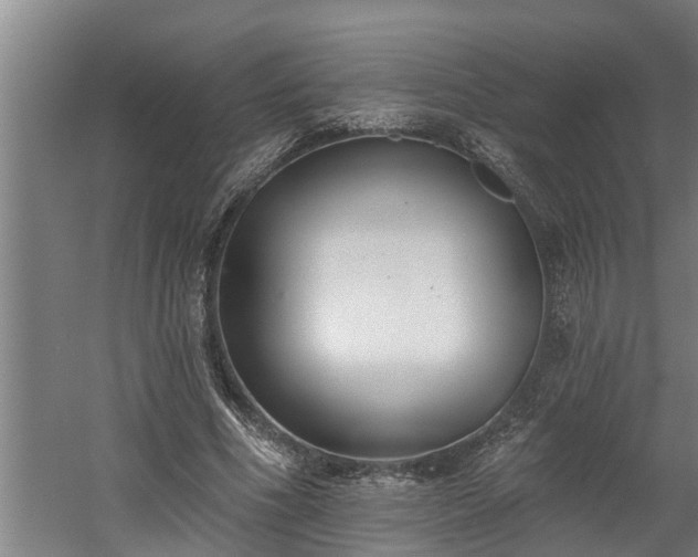 X0000060560586200511070950