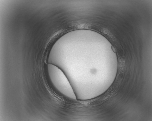 X0000060560587200511070950