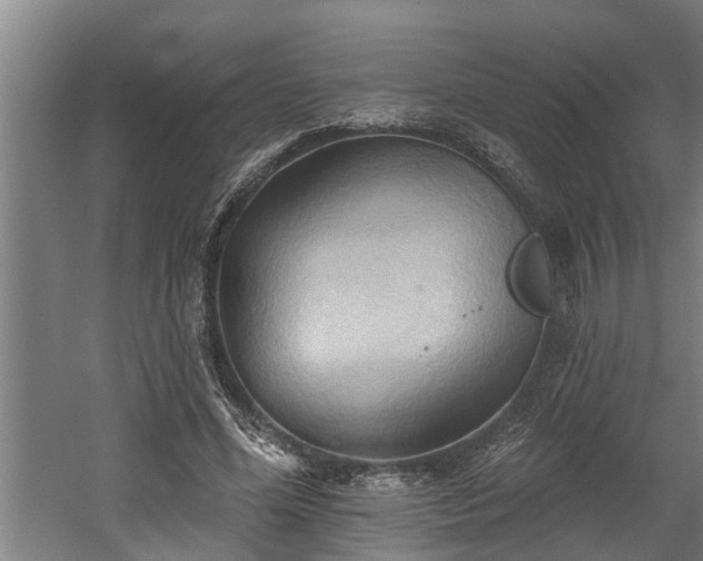 X0000060560588200511070950