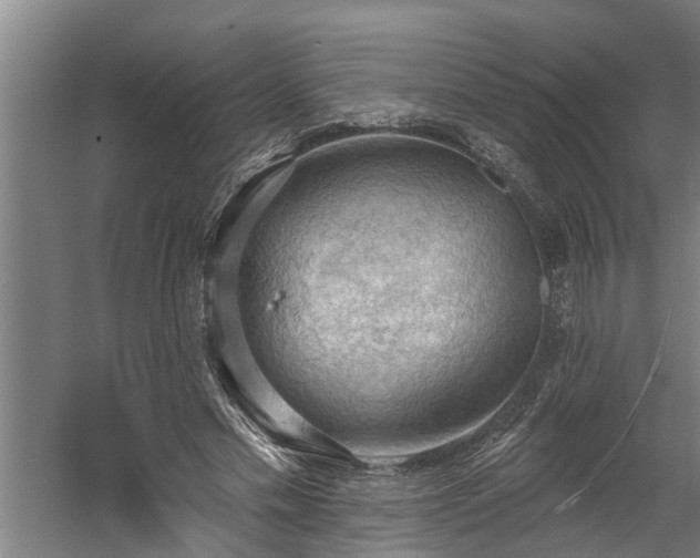 X0000060560589200511070950