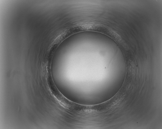 X0000060560590200511070950