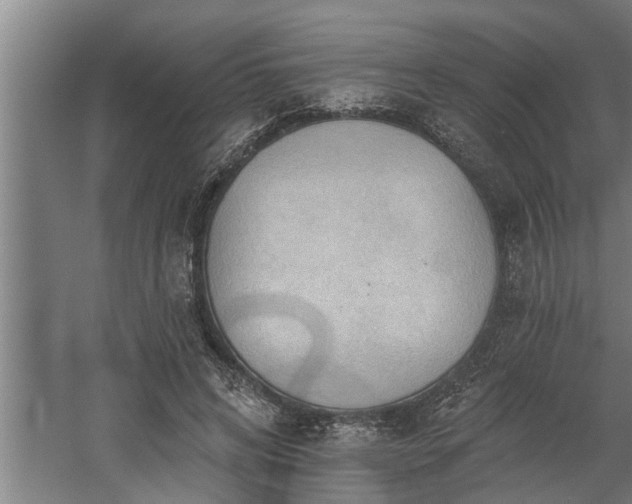 X0000060560592200511070950