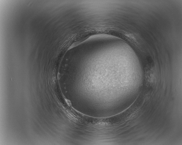 X0000060560593200511070950