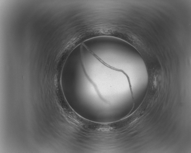 X0000060560595200511070949