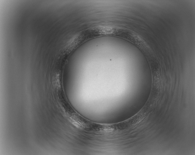 X0000060560598200511070949