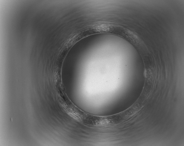 X0000060560600200511070949