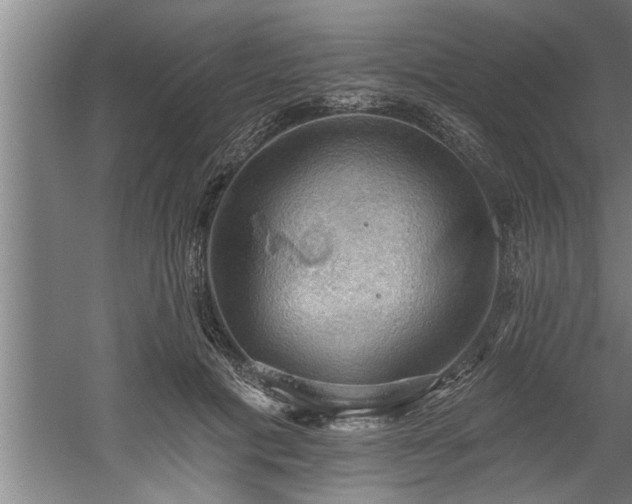 X0000060560601200511070949