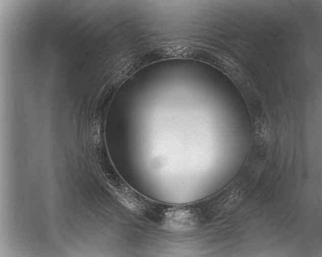 X0000060560602200511070949