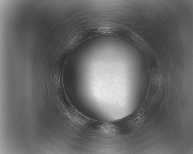 X0000060560603200511070949