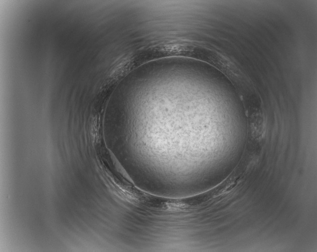 X0000060560605200511070949