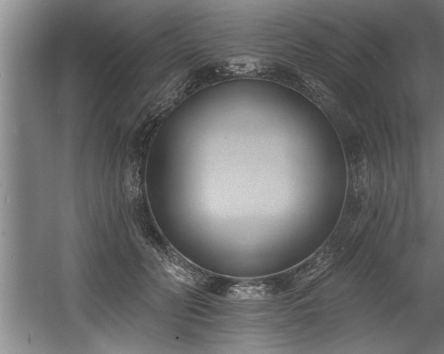 X0000060560606200511070949