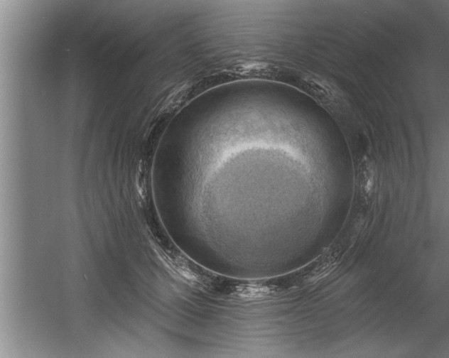 X0000060560607200511070949