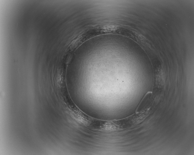 X0000060560608200511070949