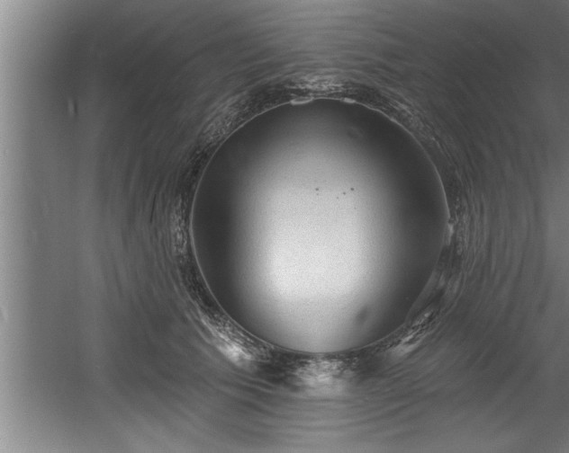 X0000060560609200511070949