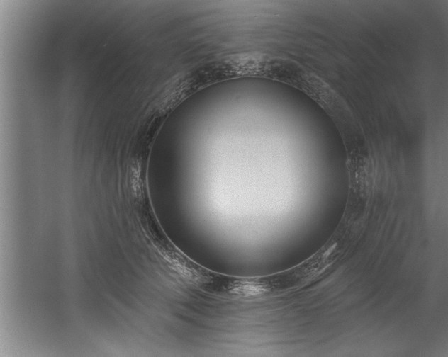 X0000060560610200511070949