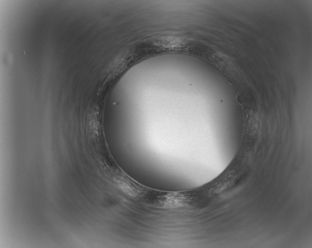 X0000060560612200511070949