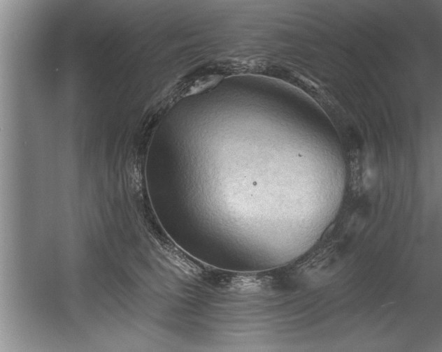 X0000060560613200511070949