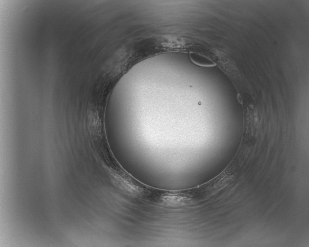 X0000060560614200511070949