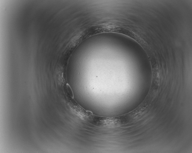 X0000060560615200511070949