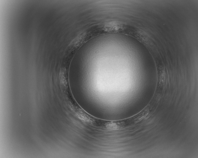 X0000060560616200511070949