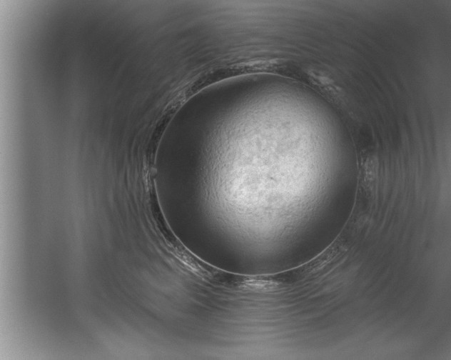 X0000060560617200511070949