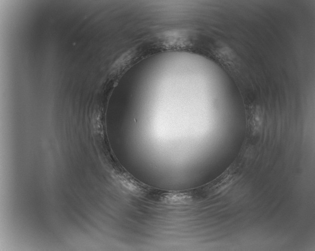 X0000060560619200511070949