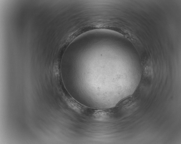 X0000060560620200511070949