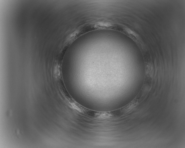 X0000060560621200511070949