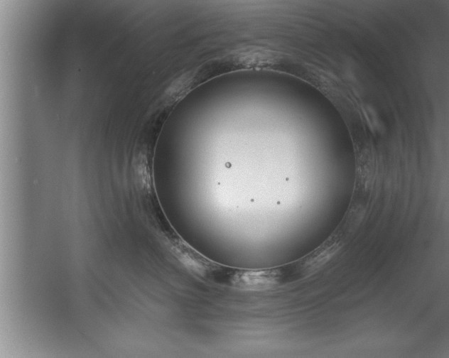 X0000060560622200511070949