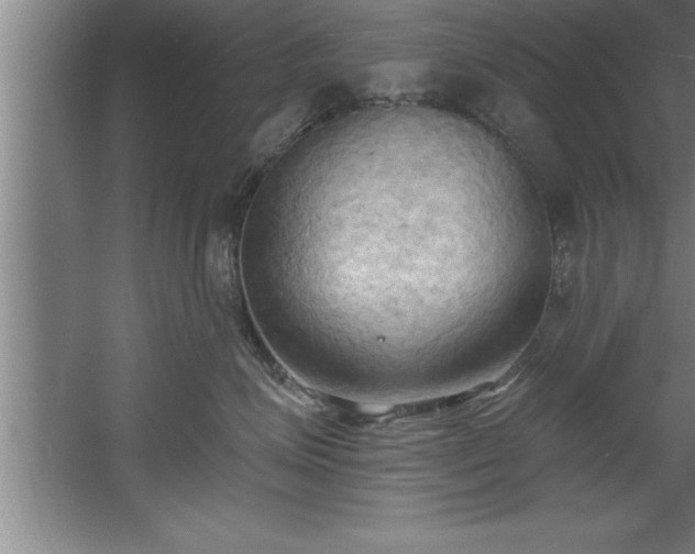 X0000060560623200511070949